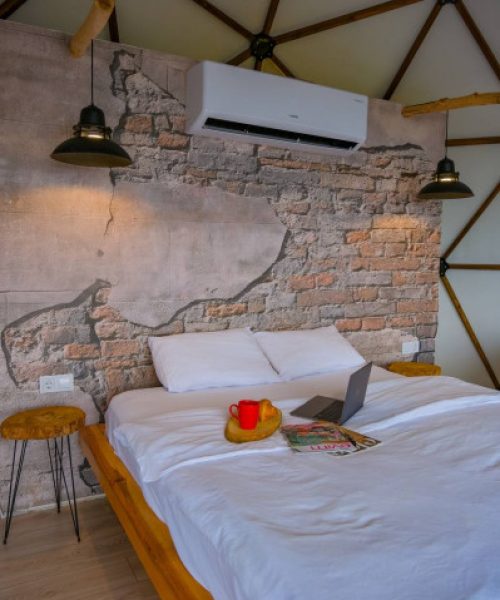 7d1ab8ff-4271-49e6-98cf-ce9dd29d1383_1-f