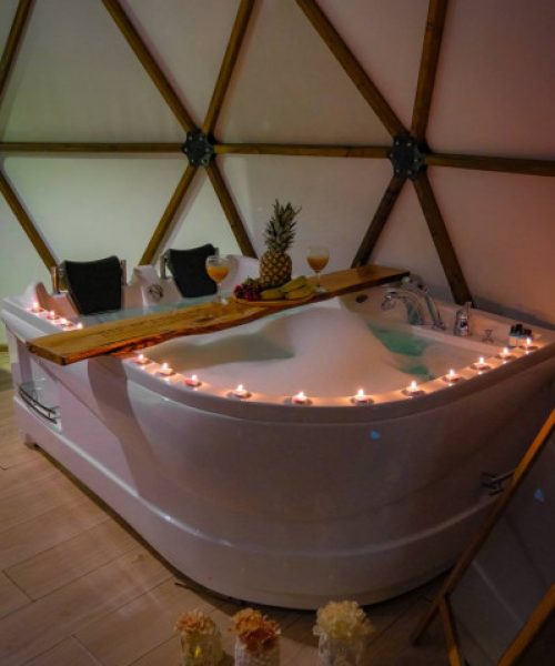 a530ae26-88bc-4d16-a2b8-2c29b6b2c81f-f