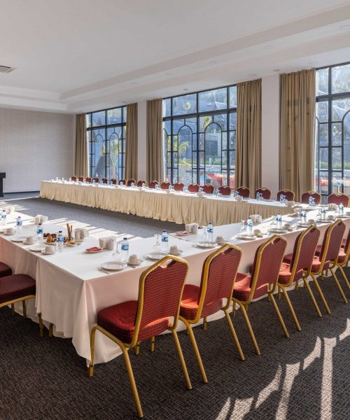 sapanca48-min_-_kopya-f