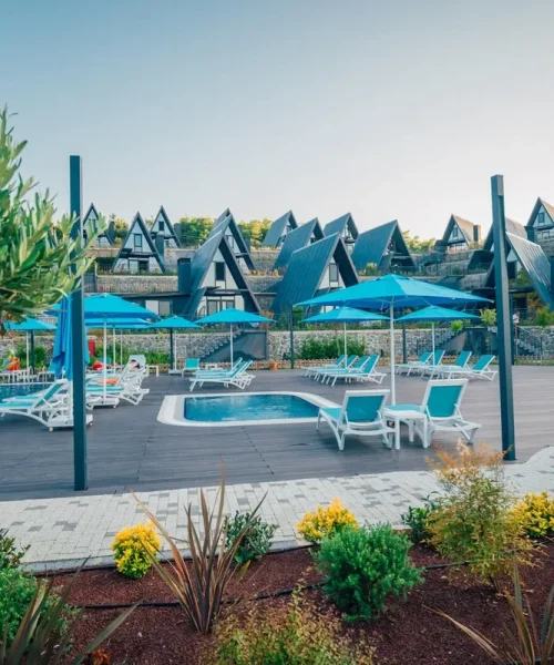 worlddeluxeforestd6c535e4