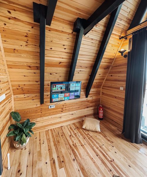 359502036_676553531172327_8278383097500432154_n