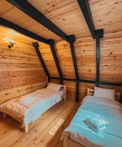 359774698_676553157839031_8893955470479276159_n