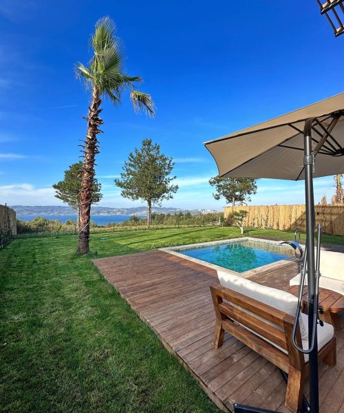 420110232_799835472177465_6432739085712601934_n