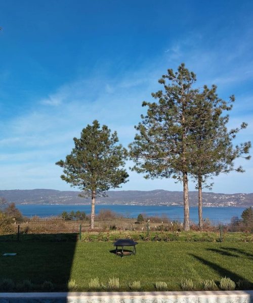 421921128_799835902177422_3125146972080838839_n