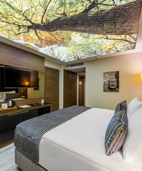 ZmlsZU5hbWU9RFNDXzMwODEtSERSLWNvcHktbWlu_20220415145342