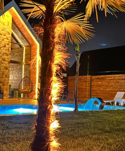 c3107d7e-09f9-49c9-a516-91b39173d980