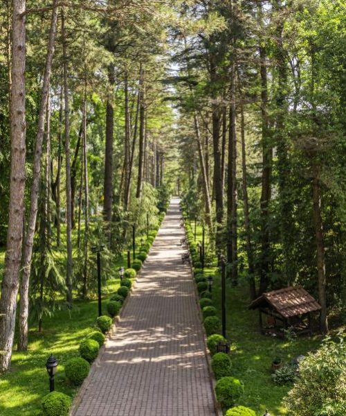 ng-sapanca-drone-09-f