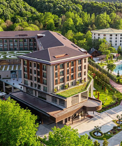 ng-sapanca-genel-galeri-card