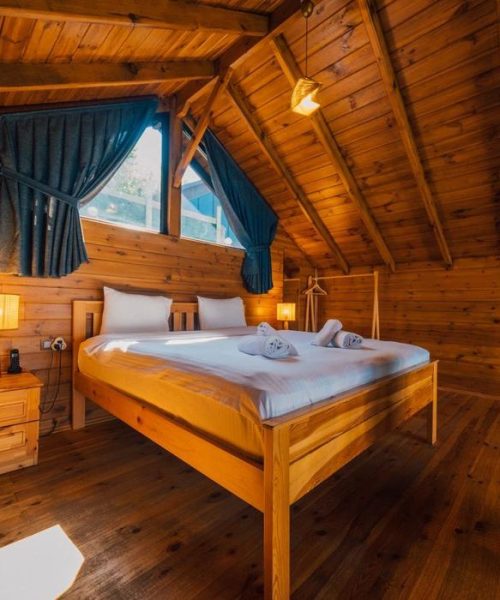 tsr12024638277922754304780