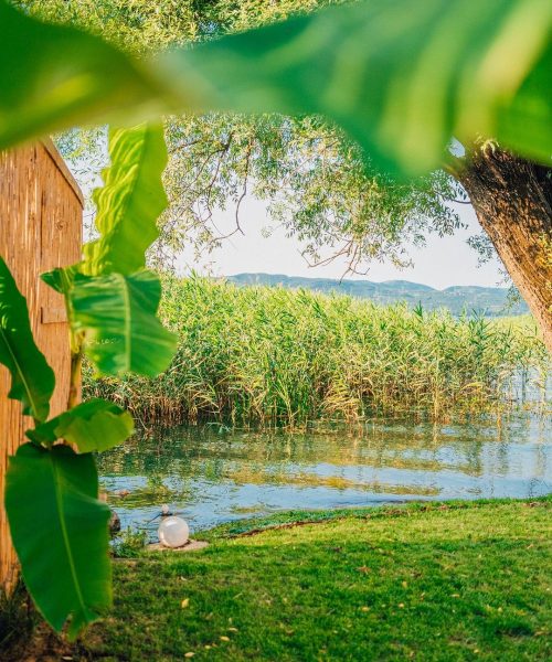 0A432B41-5AA2-4659-9452-9196F0C6006D