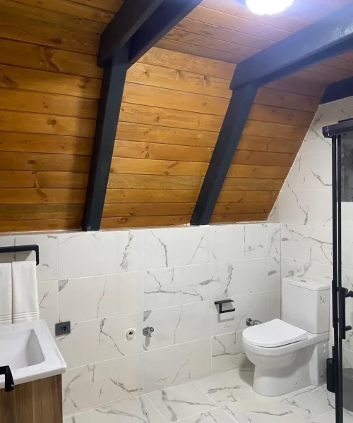 21a5dab7-7adf-448f-adc6-4093e2f42cd3