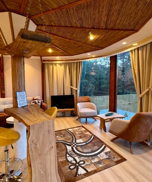 329392986_711905867386081_5527082752659704446_n