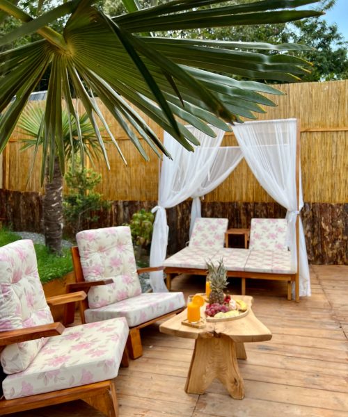 329431877_733766491442299_6288470860211669098_n