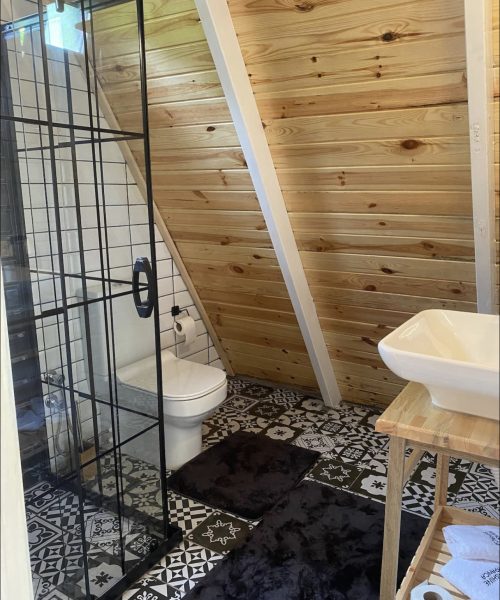 338852237_1569287690237764_2242590034286027917_n