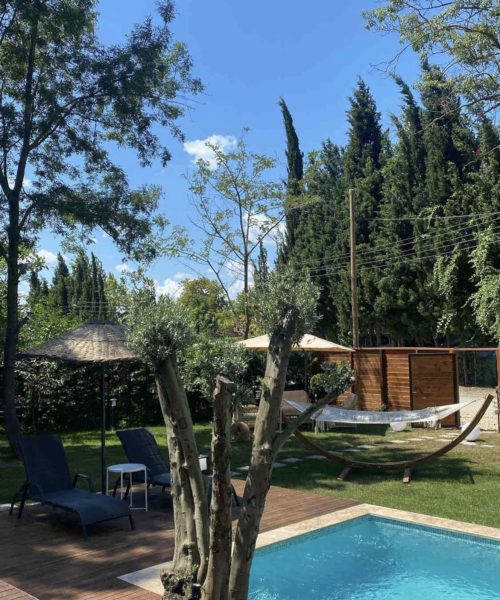 338905462_9718142678211834_8919441169353777161_n