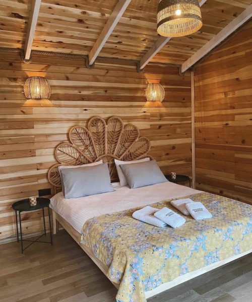 339071301_550491573873687_2156502539582289328_n