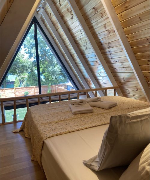 339574256_2181934705327438_4683813638168647773_n