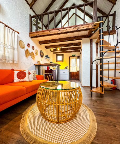 362976071_684294940398186_4634243335210038243_n