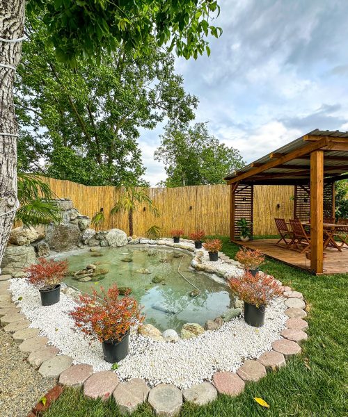 362976772_684295040398176_4063644143819297282_n