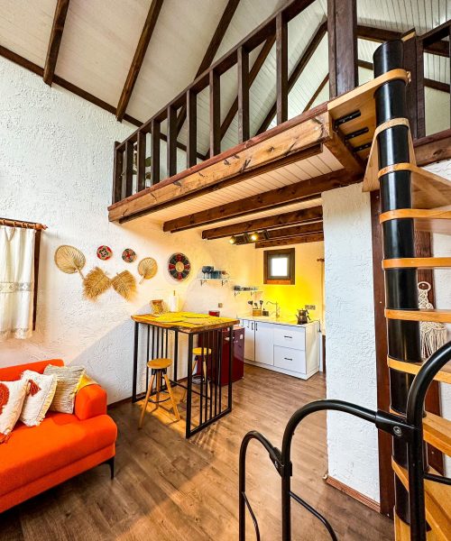 363302366_684295213731492_559603764316916735_n