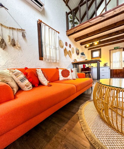 363361836_684295153731498_5763188840109545367_n