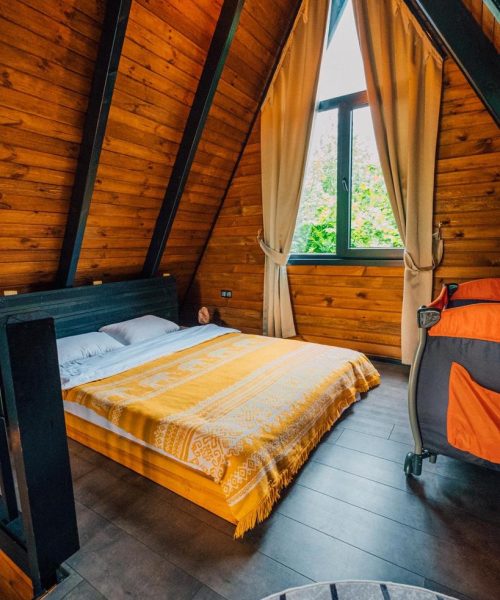 367446771_697026515791695_8265134985296146969_n