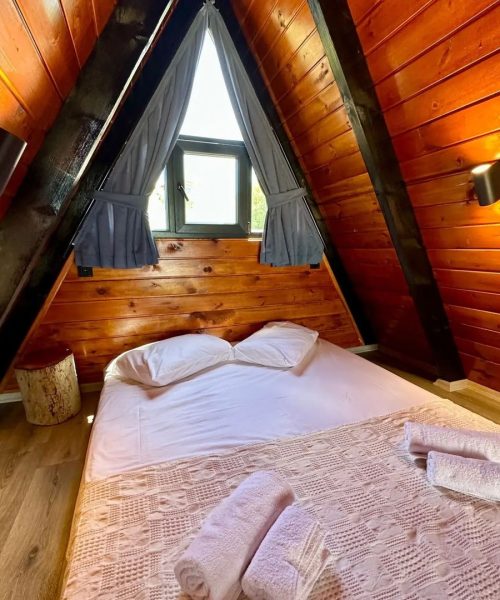 370983099_705073098320370_8683479916664574222_n