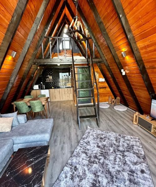 371017013_705072844987062_649867388466651852_n