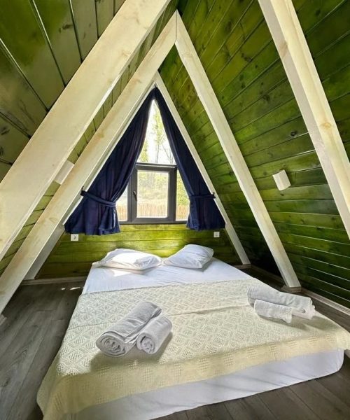 371113024_705073311653682_7325235878436081468_n