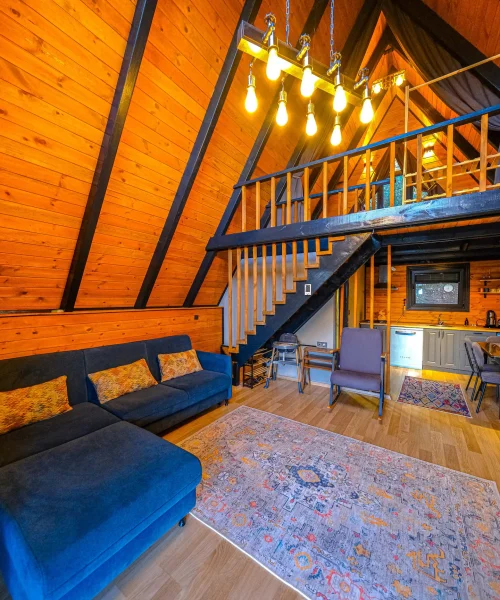 c65699e0-6dbf-4534-949d-93a00ea2f5d5