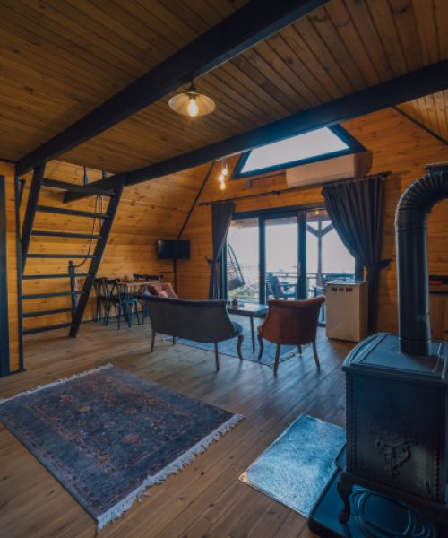 sapanca_country_bungalov_0_8-f-f