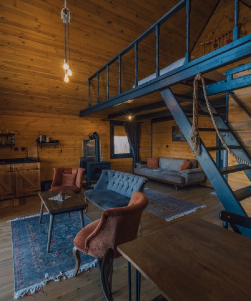 sapanca_country_bungalov_0_9-f-f