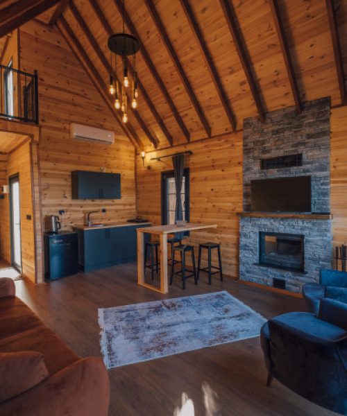 sapanca_country_luxury_bungalov_0_9-f