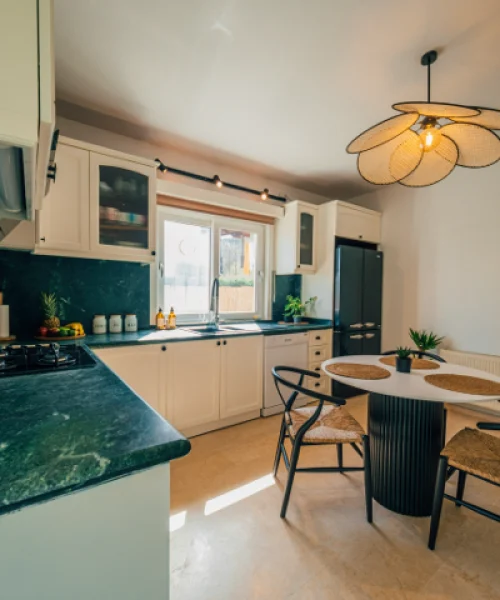 terra-house-dscf3867-1697274902