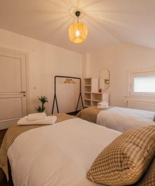 terra-house-dscf3981-1697274870