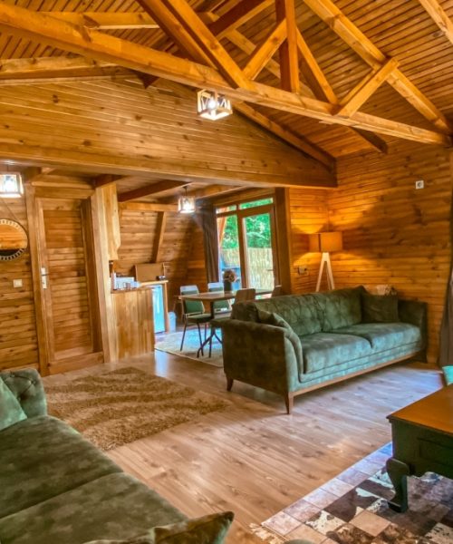 sapanca-3d-bungalov-17-9258