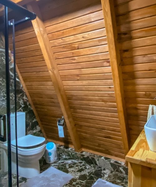 sapanca-3d-bungalov-5-2599