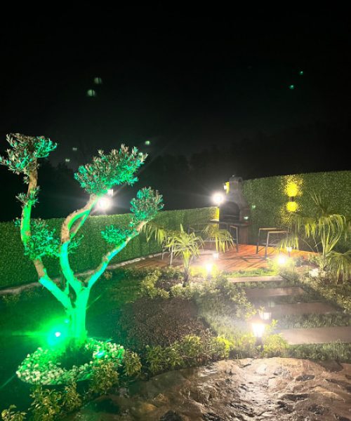 01e7ef6e-434e-4535-abb8-2b9bc66ec541-f