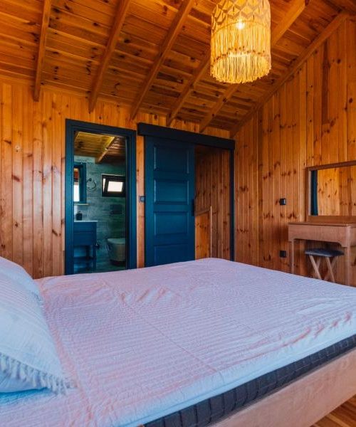 58f2fc67-bc2f-48bd-b97b-c1f59719049e-f