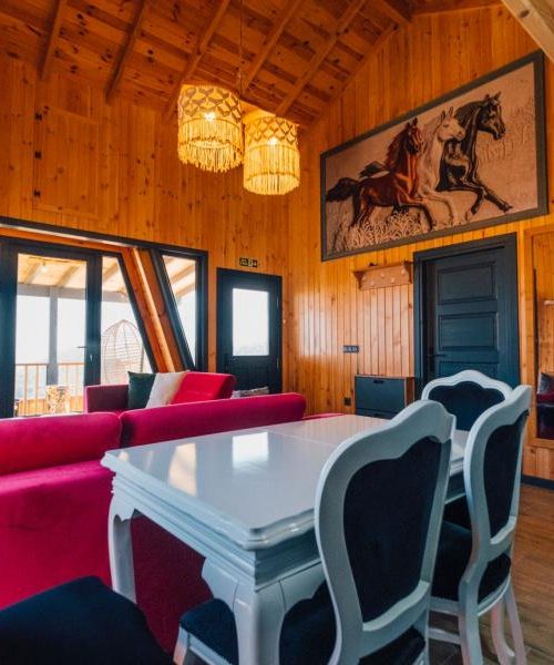 a3cb834c-684a-48f7-a025-6367a862d339-f