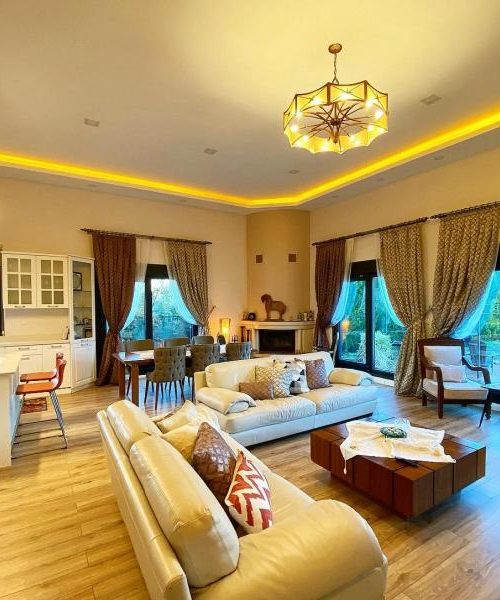 d1d27d3b-12db-417e-85c0-396106431a89-f