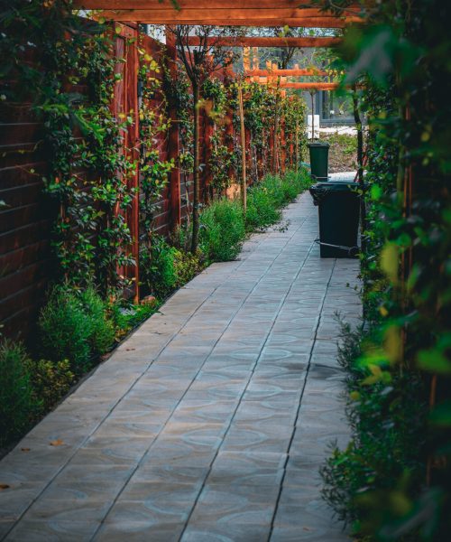 casanuez-bungalov-dis-mekan-1-1365x2048