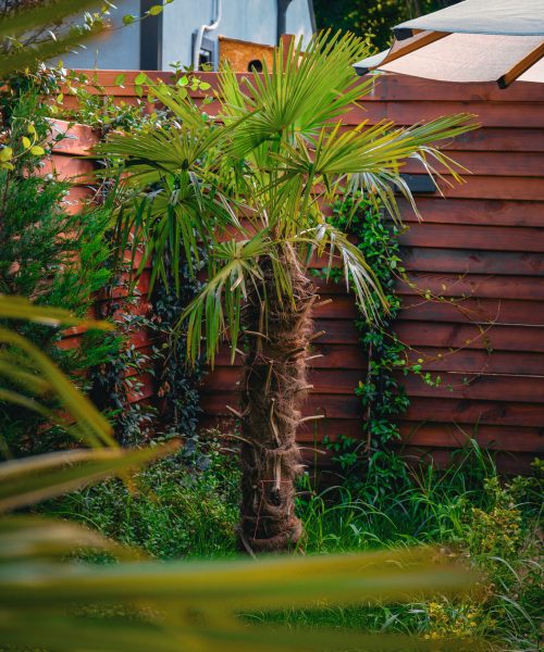 casanuez-bungalov-dis-mekan-10-1365x2048