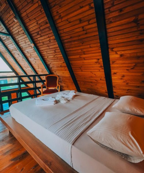 PHOTO-2024-11-06-18-38-49 3