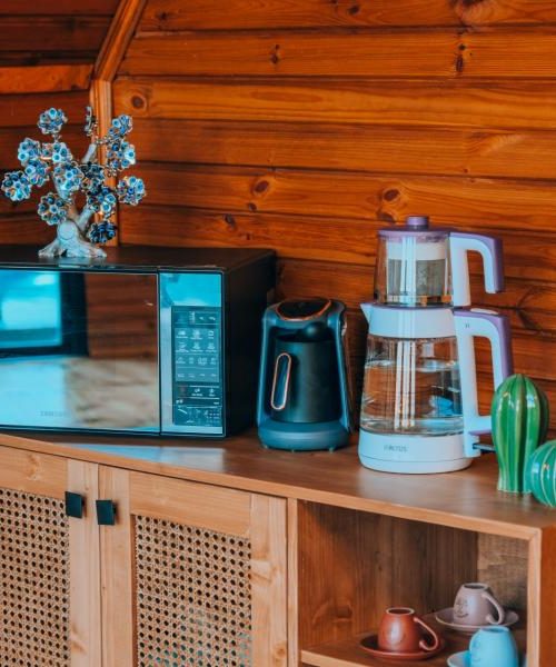 sisortibalievidscf0483-f