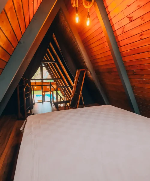 24.0c1a975897f0c33c91b5