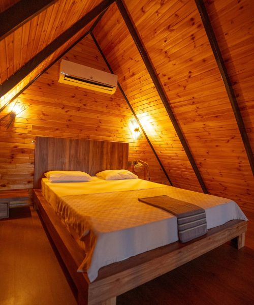 PHOTO-2025-04-16-20-37-08