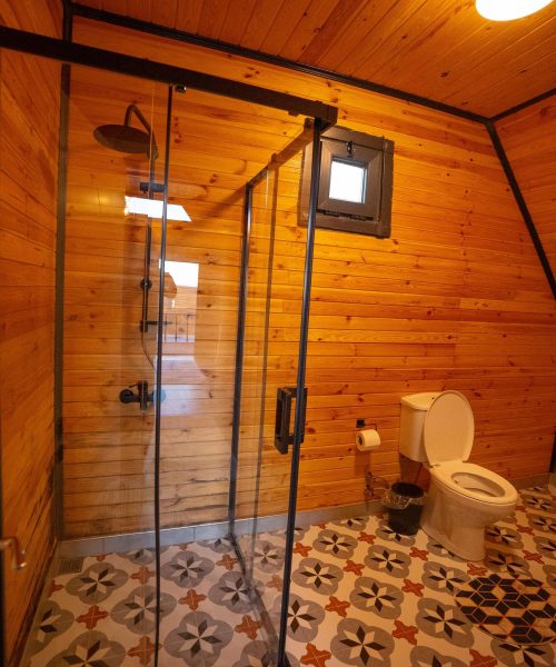 PHOTO-2025-04-16-20-37-09