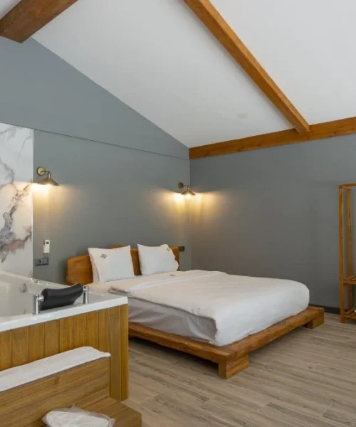 SAPANCA_KOK_NA_SU_T_202406111304505_A7405593