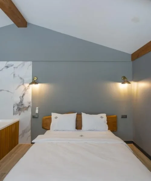 SAPANCA_KOK_NA_SU_T_202406111304505_A7405596